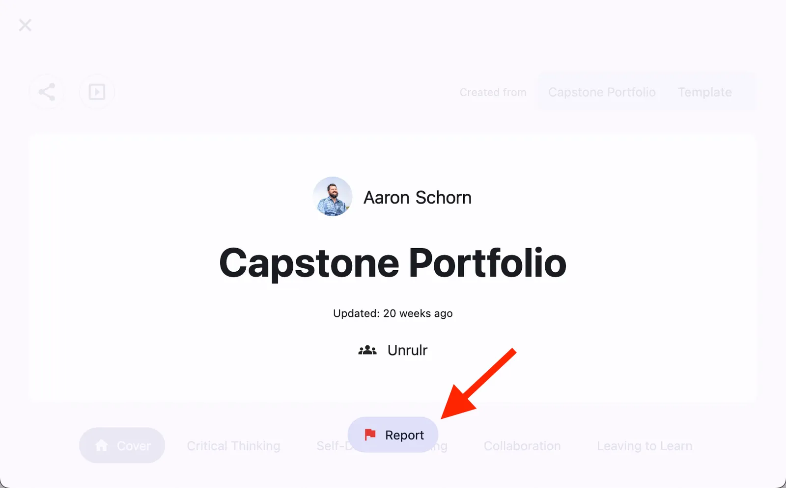 Report button on portfolio header