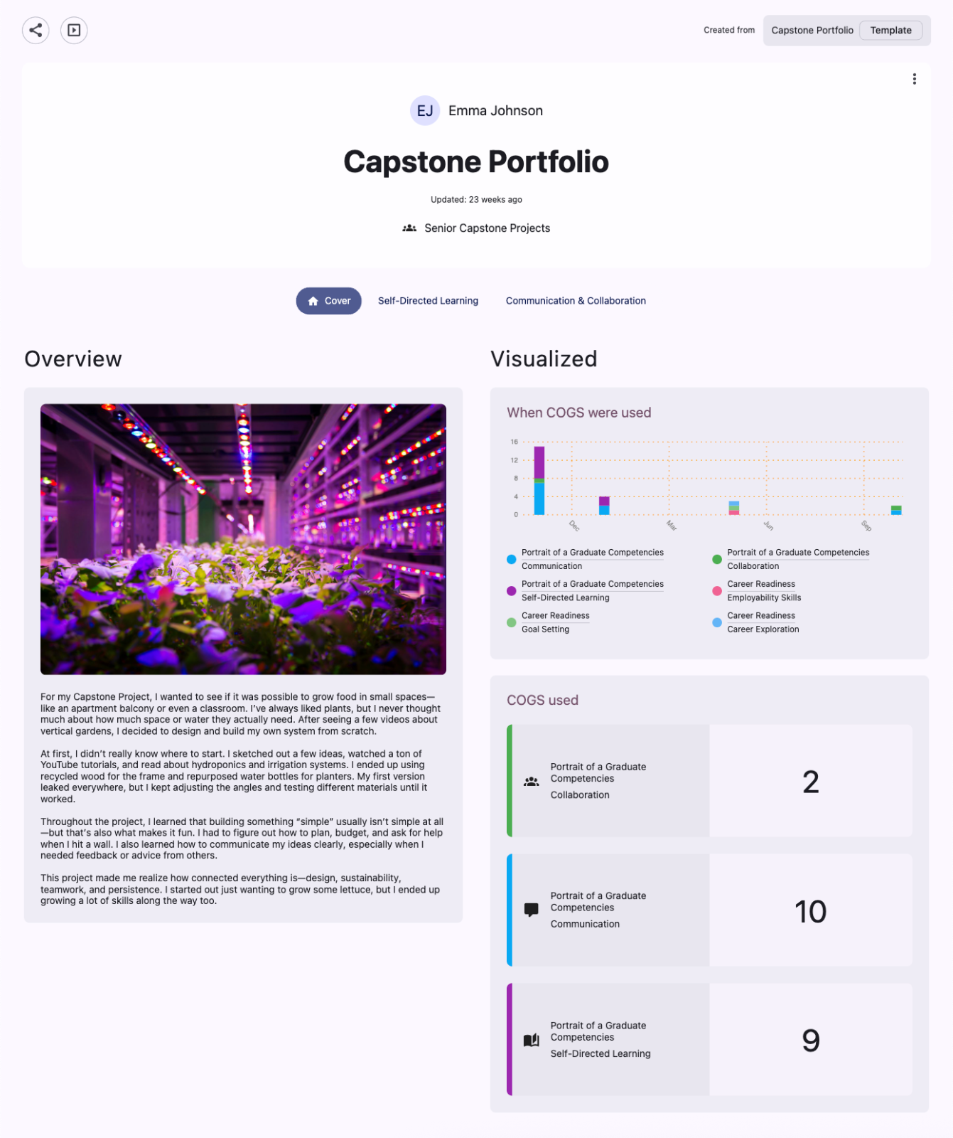 Portfolio Example